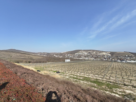 Обзор смартфона realme 16 Pro+: самый красивый камерофон