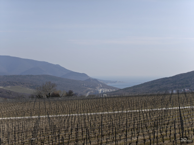 Обзор смартфона realme 16 Pro+: самый красивый камерофон