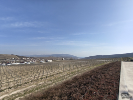 Обзор смартфона realme 16 Pro+: самый красивый камерофон