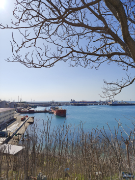 Обзор смартфона realme 16 Pro+: самый красивый камерофон