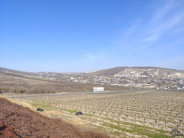 Обзор смартфона realme 16 Pro+: самый красивый камерофон