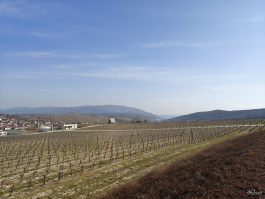 Обзор смартфона realme 16 Pro+: самый красивый камерофон