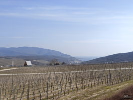 Обзор смартфона realme 16 Pro+: самый красивый камерофон