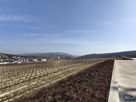 Обзор смартфона realme 16 Pro+: самый красивый камерофон