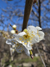 Обзор смартфона Samsung Galaxy S26 Ultra: не подглядывай!