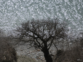 Обзор смартфона Samsung Galaxy S26 Ultra: не подглядывай!