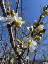 Обзор смартфона Samsung Galaxy S26 Ultra: не подглядывай!