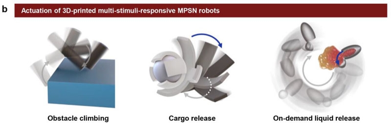 В Южной Корее создали технологию 4D-печати микроботов из отходов серы &mdash; подвижных и перерабатываемых