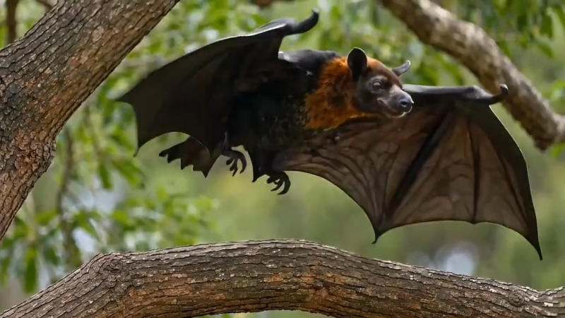 Alibaba выпустила HappyHorse &mdash;&nbsp;открытый ИИ-генератор видео, который обошёл всех конкурентов