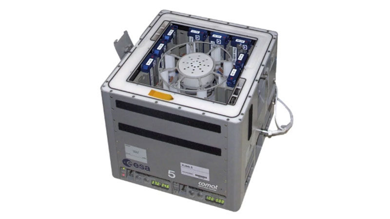 Добычу полезных ископаемых на астероидах можно доверить микробам &mdash; больше всего им понравились драгметаллы