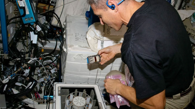 Добычу полезных ископаемых на астероидах можно доверить микробам &mdash; больше всего им понравились драгметаллы