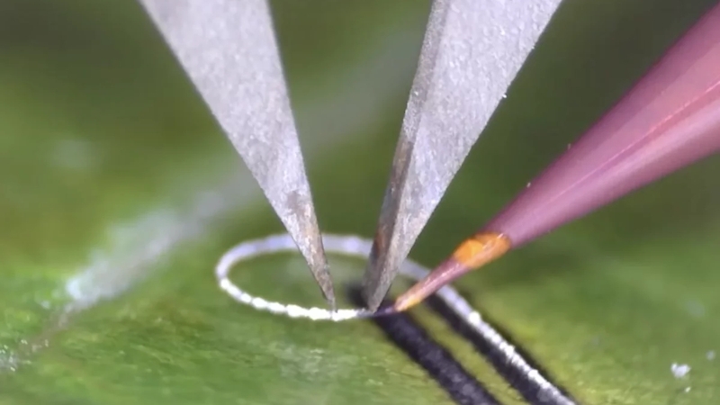 Инженеры разработали устройство для печати электроники на живых тканях и хирургических имплантах без их повреждения