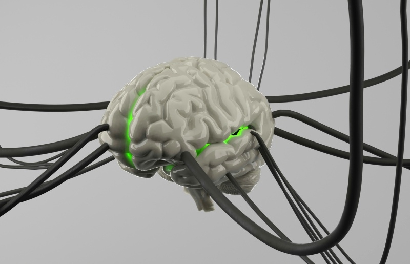 Компания Science бывшего президента Neuralink готовится установить в мозг человека первый биогибридный имплант