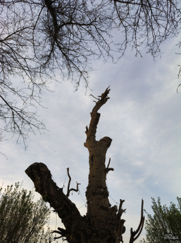 Краткий обзор смартфона realme P4 Power: марафонец