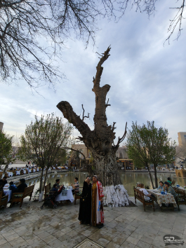 Краткий обзор смартфона realme P4 Power: марафонец