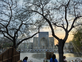 Краткий обзор смартфона realme P4 Power: марафонец