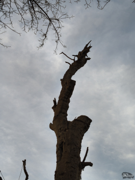 Краткий обзор смартфона realme P4 Power: марафонец