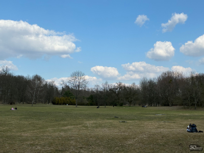 Обзор Apple iPhone 17e: незаконченная работа над ошибками