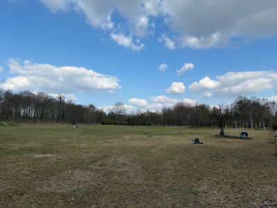 Обзор Apple iPhone 17e: незаконченная работа над ошибками