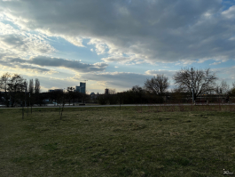 Обзор Apple iPhone 17e: незаконченная работа над ошибками