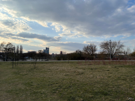 Обзор Apple iPhone 17e: незаконченная работа над ошибками