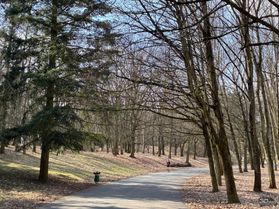 Обзор Apple iPhone 17e: незаконченная работа над ошибками