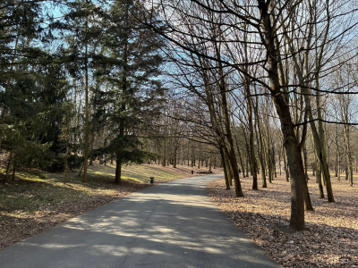 Обзор Apple iPhone 17e: незаконченная работа над ошибками