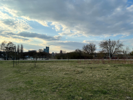 Обзор Apple iPhone 17e: незаконченная работа над ошибками