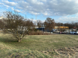 Обзор Apple iPhone 17e: незаконченная работа над ошибками