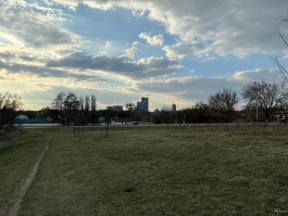 Обзор Apple iPhone 17e: незаконченная работа над ошибками