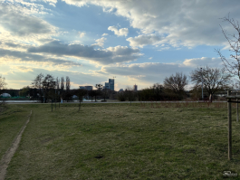 Обзор Apple iPhone 17e: незаконченная работа над ошибками