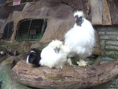 Обзор DIGMA DiCam 970: экшен-камера с очень богатой комплектацией для новичка