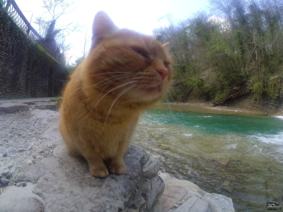 Обзор DIGMA DiCam 970: экшен-камера с очень богатой комплектацией для новичка