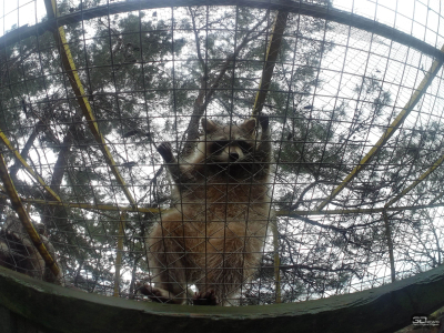 Обзор DIGMA DiCam 970: экшен-камера с очень богатой комплектацией для новичка