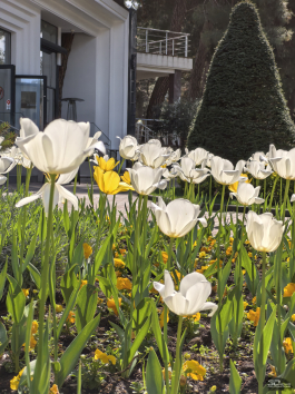 Обзор HUAWEI nova 15 Pro: смартфон для тех, кто любит себя