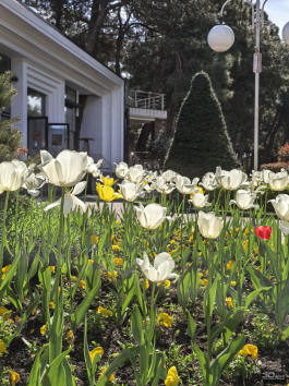 Обзор HUAWEI nova 15 Pro: смартфон для тех, кто любит себя