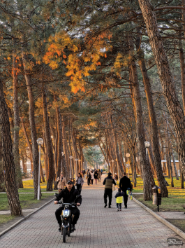 Обзор HUAWEI nova 15 Pro: смартфон для тех, кто любит себя