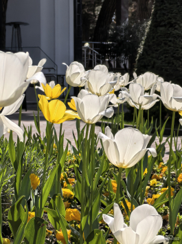 Обзор HUAWEI nova 15 Pro: смартфон для тех, кто любит себя