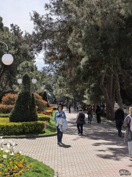 Обзор HUAWEI nova 15 Pro: смартфон для тех, кто любит себя