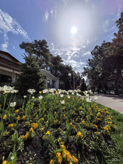 Обзор HUAWEI nova 15 Pro: смартфон для тех, кто любит себя