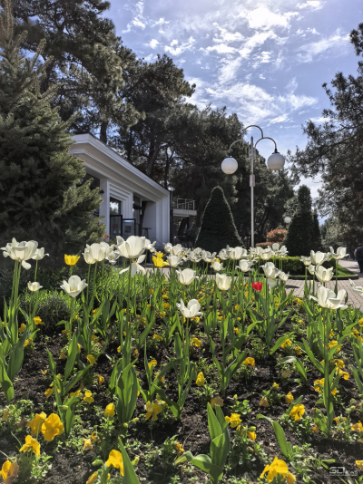 Обзор HUAWEI nova 15 Pro: смартфон для тех, кто любит себя