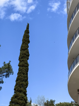 Обзор HUAWEI nova 15 Pro: смартфон для тех, кто любит себя