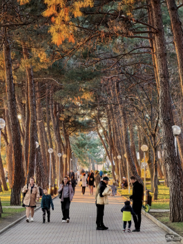 Обзор HUAWEI nova 15 Pro: смартфон для тех, кто любит себя