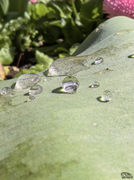 Обзор HUAWEI nova 15 Pro: смартфон для тех, кто любит себя