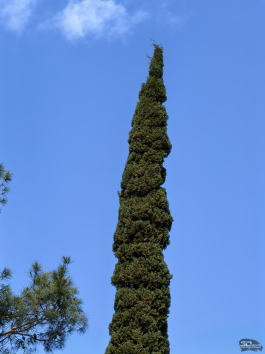 Обзор HUAWEI nova 15 Pro: смартфон для тех, кто любит себя