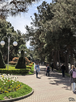 Обзор HUAWEI nova 15 Pro: смартфон для тех, кто любит себя