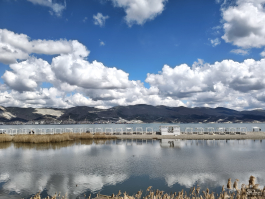 Обзор Infinix NOTE 60: нестандартный подход к смартфону среднего класса