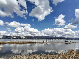 Обзор Infinix NOTE 60: нестандартный подход к смартфону среднего класса