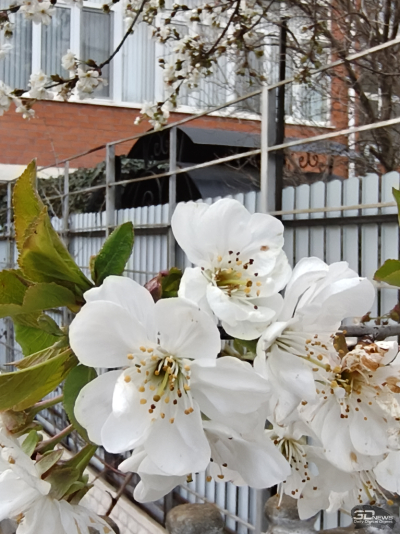 Обзор Infinix NOTE 60: нестандартный подход к смартфону среднего класса