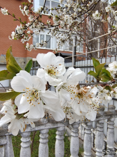 Обзор Infinix NOTE 60: нестандартный подход к смартфону среднего класса